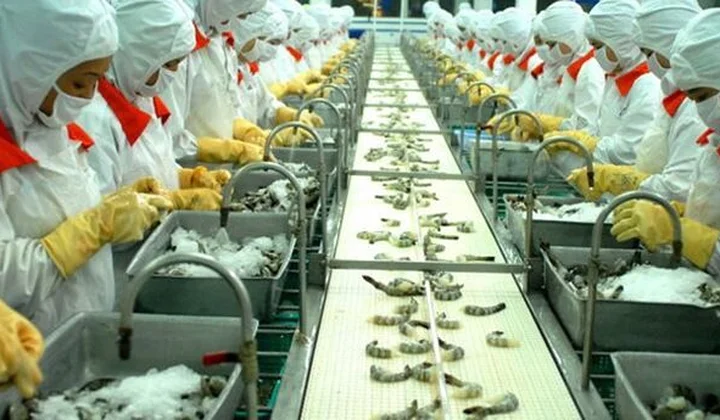 Kim ngạch xuất khẩu thủy sản có thể đạt 8,8 tỷ USD trong năm 2018