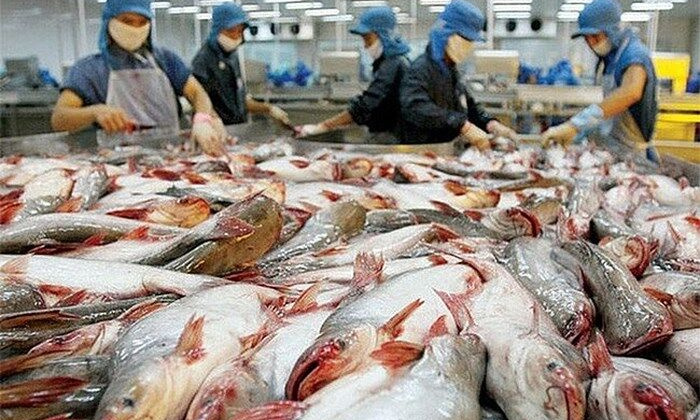 Quảng bá gạo và cá tra Việt Nam tại Philippines