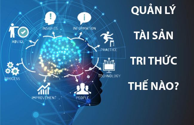 Quản trị tri thức - Tầm nhìn lớn của lãnh đạo