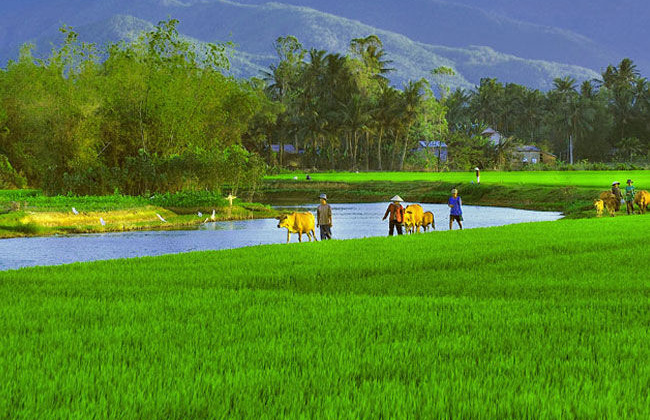 Từ lũy tre làng ra biển lớn