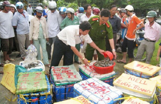 Thu hồi, xử lý thực phẩm không bảo đảm an toàn