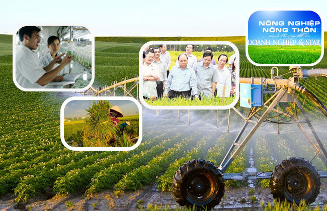 Nhà khoa học đang ở đâu trong liên kết 4 nhà?