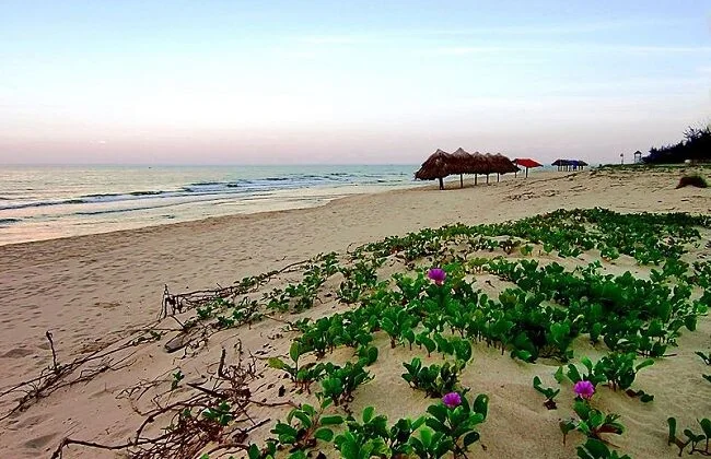 Hoạt động du lịch tại 4 tỉnh miền Trung đã trở lại bình thường