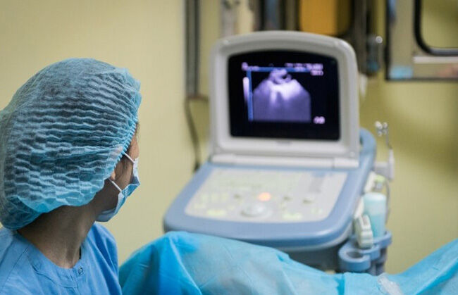 Bệnh viện tư đầu tiên được thực hiện kỹ thuật mang thai hộ