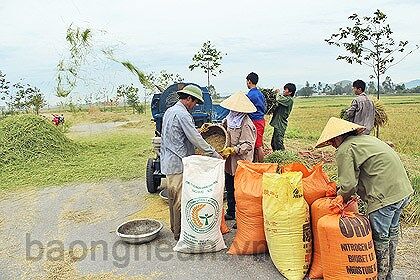 Nghệ An: Hưng Nguyên ngày mới