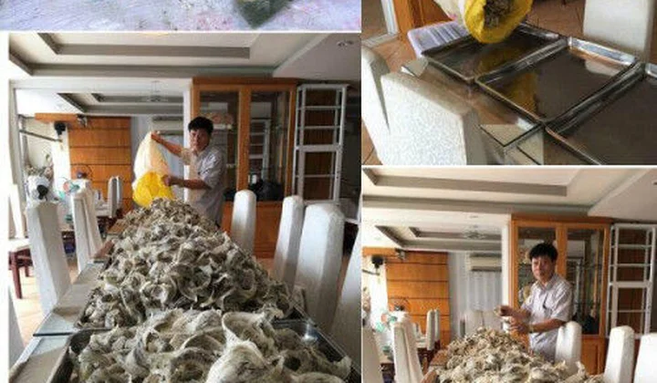 Hai vai mang nặng tình đời