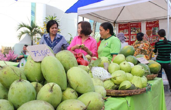 Tổ chức lại thị trường nông sản trong nước