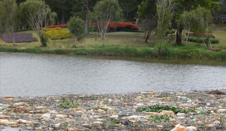 Hồ Than Thở đang... “tắc thở”