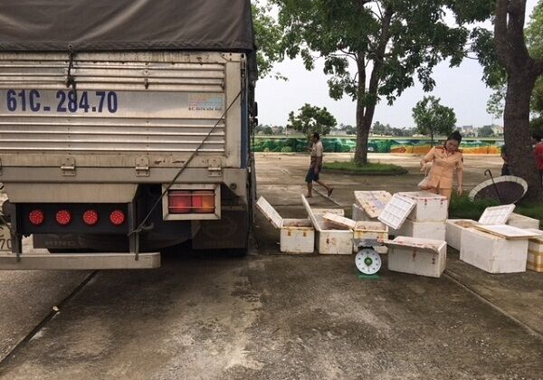 Bắt giữ 250 kg thịt gà đang phân hủy trên đường đi tiêu thụ