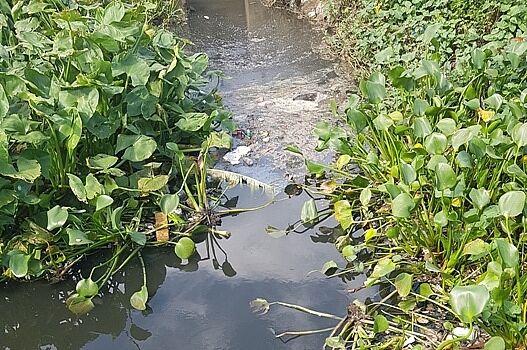 UBND xã Lạc Đạo bất lực để Cty Sơn Tùng ngày đêm “tra tấn” môi trường