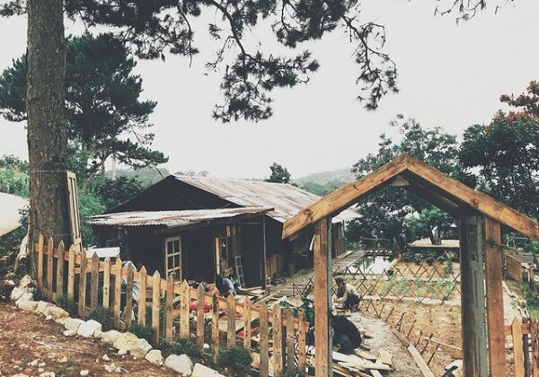 Ngỡ ngàng ngôi nhà ngập rác biến thành homestay lãng mạn ở Đà Lạt