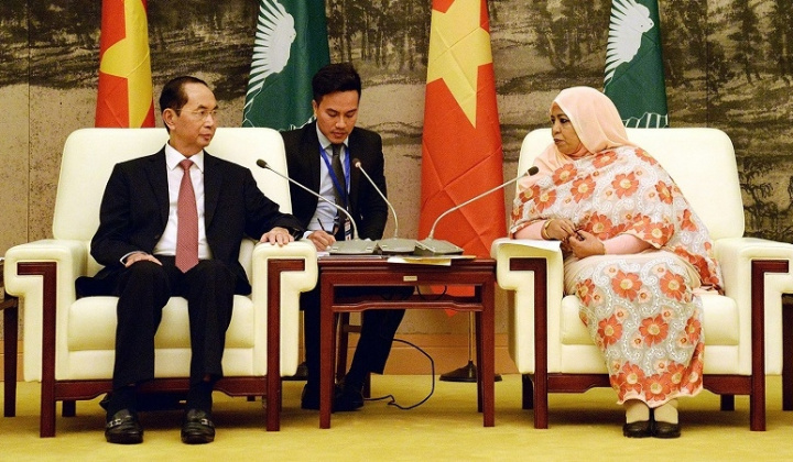 Vietnam treasures ties with African nations: President