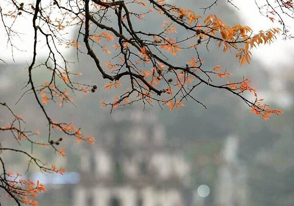 Những địa điểm lý tưởng để 'tận hưởng' mùa thu Hà Nội