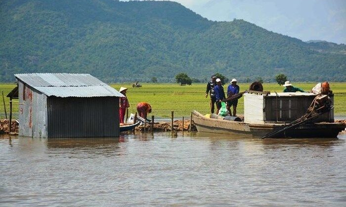 An Giang: Thiệt hại hàng trăm ha lúa do nước lũ dâng cao