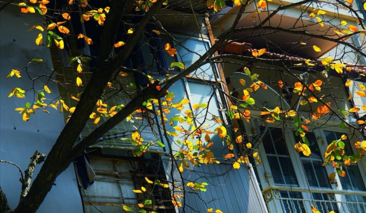 Hà Nội đẹp nao lòng những ngày đầu thu