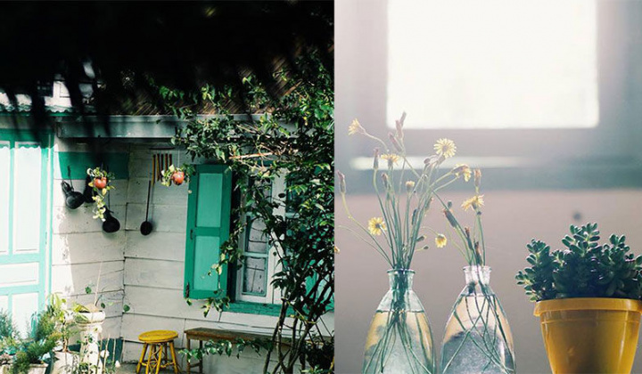 Ngắm nhìn Đà Lạt bình yên, đẹp đến nao lòng trong mắt chàng photographer trẻ