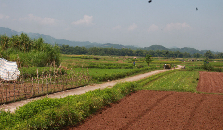 Chuyển mục đích sử dụng đất cho tỉnh Yên Bái