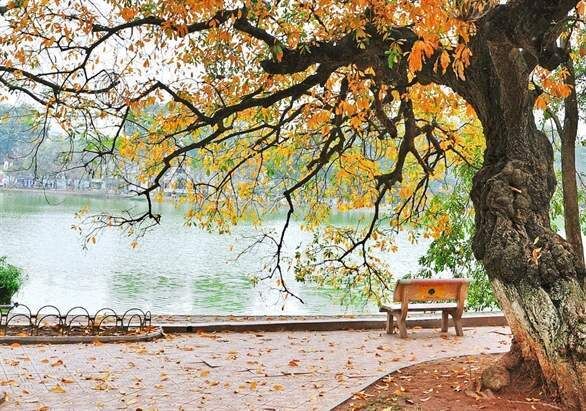 Dự báo thời tiết 16/9: Bão Mangkhut thẳng tiến Trung Quốc, Hà Nội oi nóng