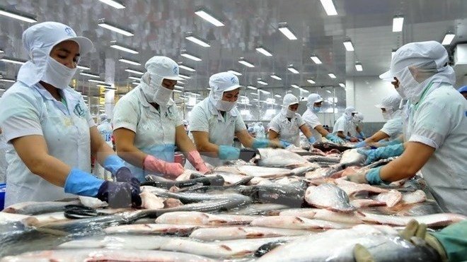 Vietnam qualified to export catfish to the US