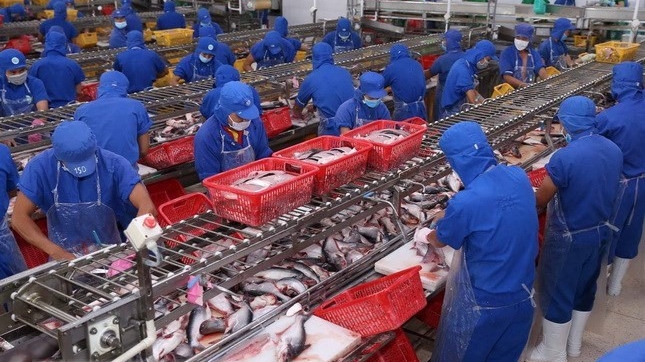 Vietnam seafood exports to ASEAN expected to reach US$1 billion soon