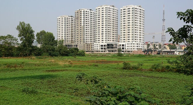 Không có quy định thu hồi một số nội dung trong sổ đỏ