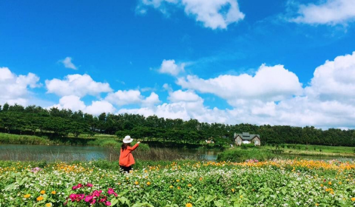 Theo chân 9x xinh đẹp 'sống ảo' khắp Đà Lạt chỉ với 2 triệu đồng