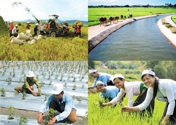 Cả nước có hơn 3.000 xã đạt chuẩn nông thôn mới