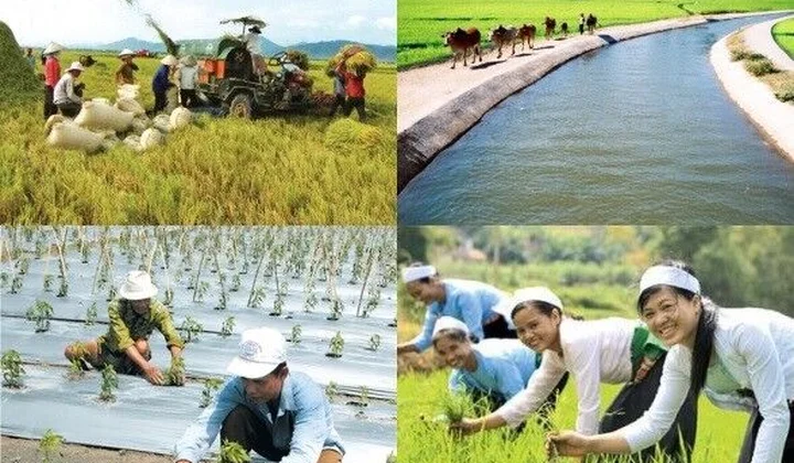 Cả nước có hơn 3.000 xã đạt chuẩn nông thôn mới