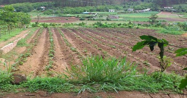 Chuyển mục đích sử dụng đất tại Nghệ An