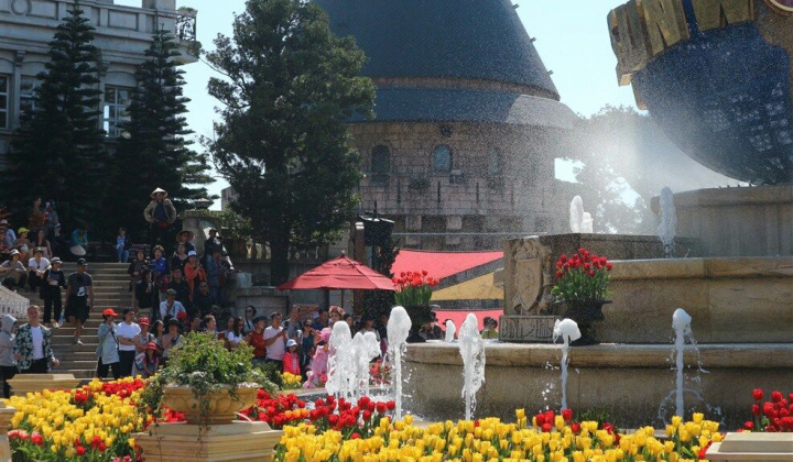 Cần gì đi Hà Lan, cả triệu bông tulip bung nở trên đỉnh Bà Nà Tết này