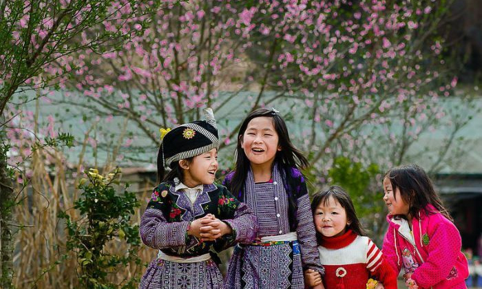 Dự báo thời tiết 24/1: Miền Bắc ban ngày hửng nắng, đêm vẫn rét đậm