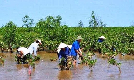 Xây dựng Chương trình hành động phát triển bền vững ĐBSCL thích ứng với biến đổi khí hậu
