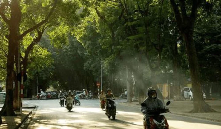 Dự báo thời tiết 30/1: Bắc bộ chuyển nắng nhẹ, có sương mù vào sáng sớm