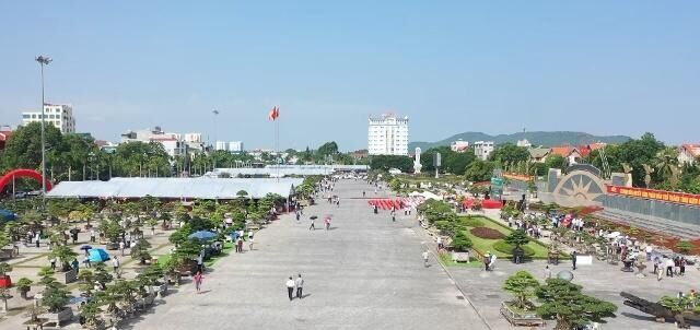 Hàng nghìn cây cảnh độc đáo được trưng bày tại Quảng trường Lam Sơn