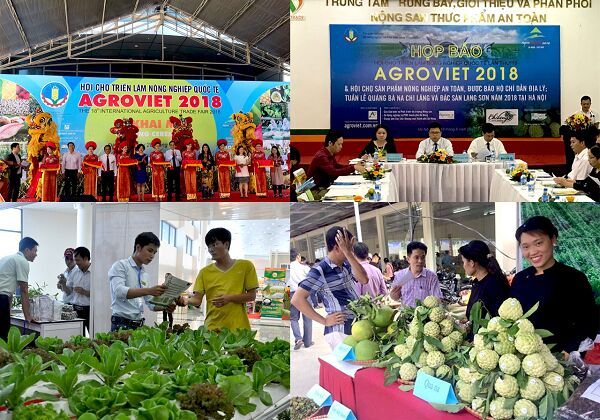Cùng nông dân đi chợ thế giới