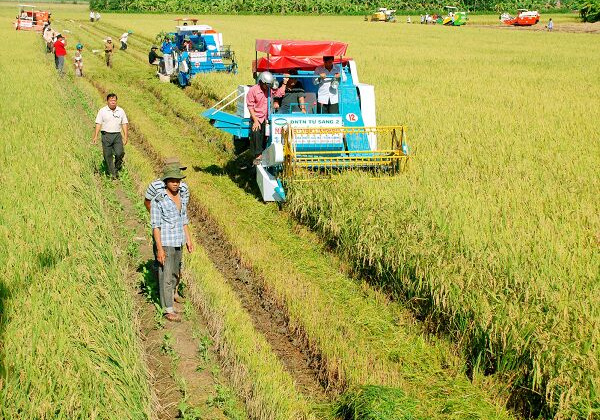 Bộ Tài chính Đề xuất miễn thuế sử dụng đất nông nghiệp đến năm 2030