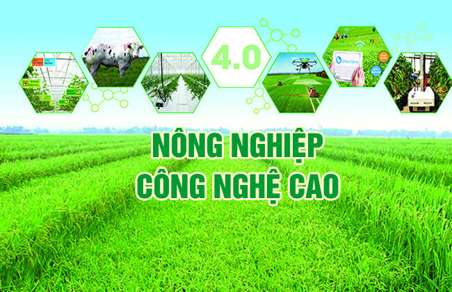 Cánh đồng nông nghiệp công nghệ cao trong lòng Thủ đô