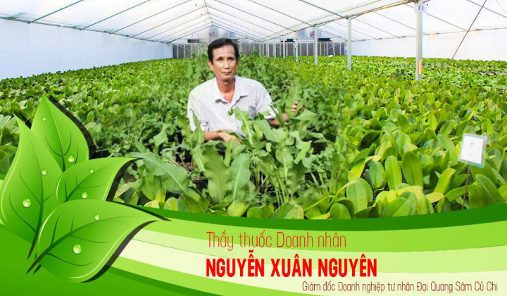 Thầy thuốc, Doanh nhân Nguyễn Xuân Nguyên: Điều trị cho nhiều bệnh nhân bằng cây "Sâm đại quang"
