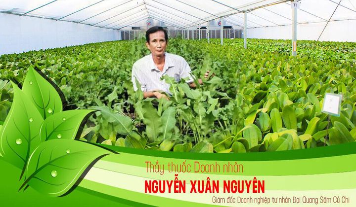 Thầy thuốc, Doanh nhân Nguyễn Xuân Nguyên: Điều trị cho nhiều bệnh nhân bằng cây "Sâm đại quang"