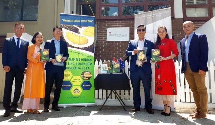 Sầu riêng Việt Nam ra mắt người tiêu dùng Australia