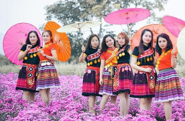 Đồi hoa xuân Thái Hòa - Lạc giữa thiên đường hoa