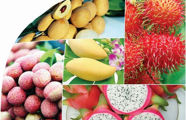 Định vị thương hiệu cho nông sản Việt