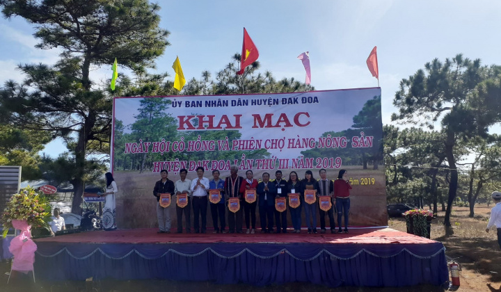 Gia Lai: Khai mạc Ngày Hội cỏ hồng và Phiên chợ nông sản huyện Đăk Đoa lần III năm 2019