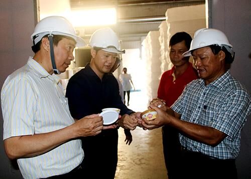 Lãnh đạo tỉnh Đồng Tháp đến thăm công ty thành viên của Tập đoàn Sao Mai