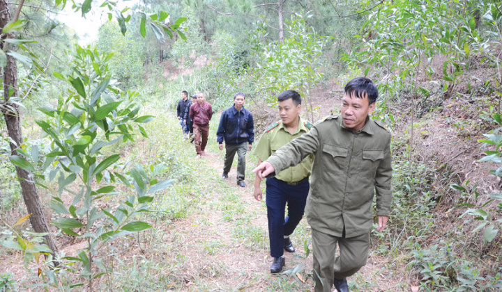 Bắc Ninh đặt mục tiêu tăng trưởng kinh tế đi đôi với bảo vệ môi trường