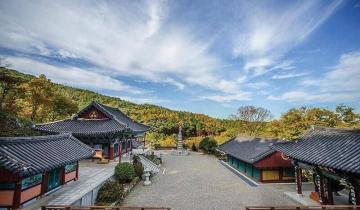 Hàn Quốc chi hàng triệu USD xây làng Việt ở quê HLV Park Hang-seo