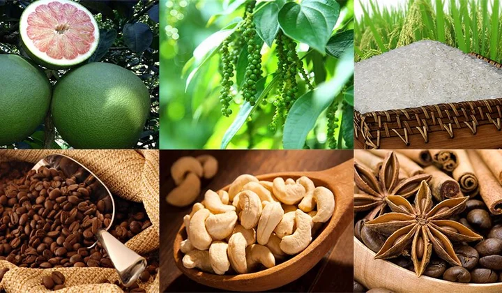 Cơ hội cho hàng Việt phân phối ra nước ngoài