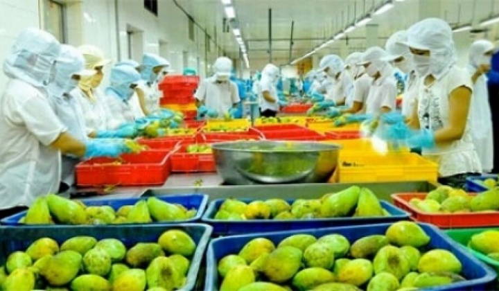 Hướng đi cho rau quả Việt Nam nhập khẩu vào thị trường EU