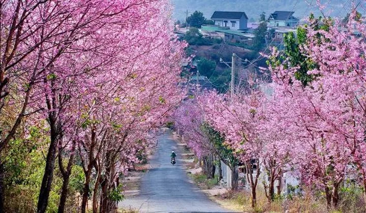 “Đu đưa” ở những điểm đến thú vị nhất miền Trung dịp Tết này