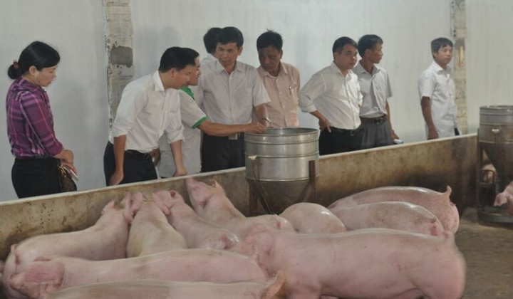 Chuyển giao khoa học kỹ thuật cho nông dân tại TX .Từ Sơn, Bắc Ninh